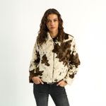 IFC173242162E890S